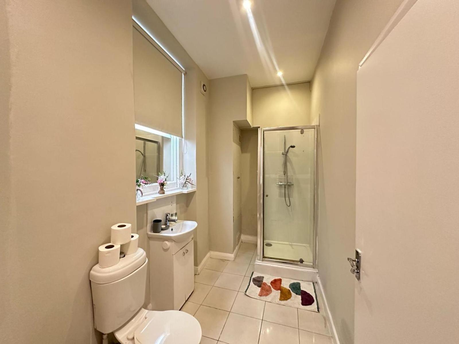 Comfortable One Bedroom Eye Apartament Londra